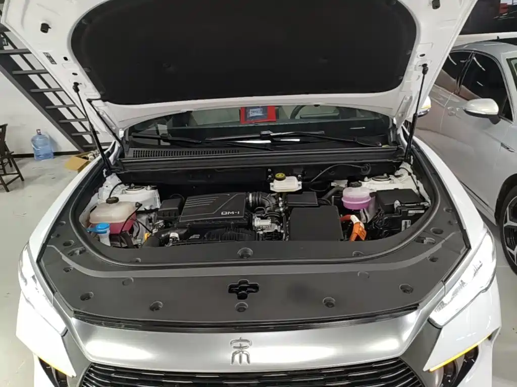 BYD Song Pro New Energy 2024 — фото 20