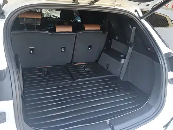 BYD Tang New Energy 2023