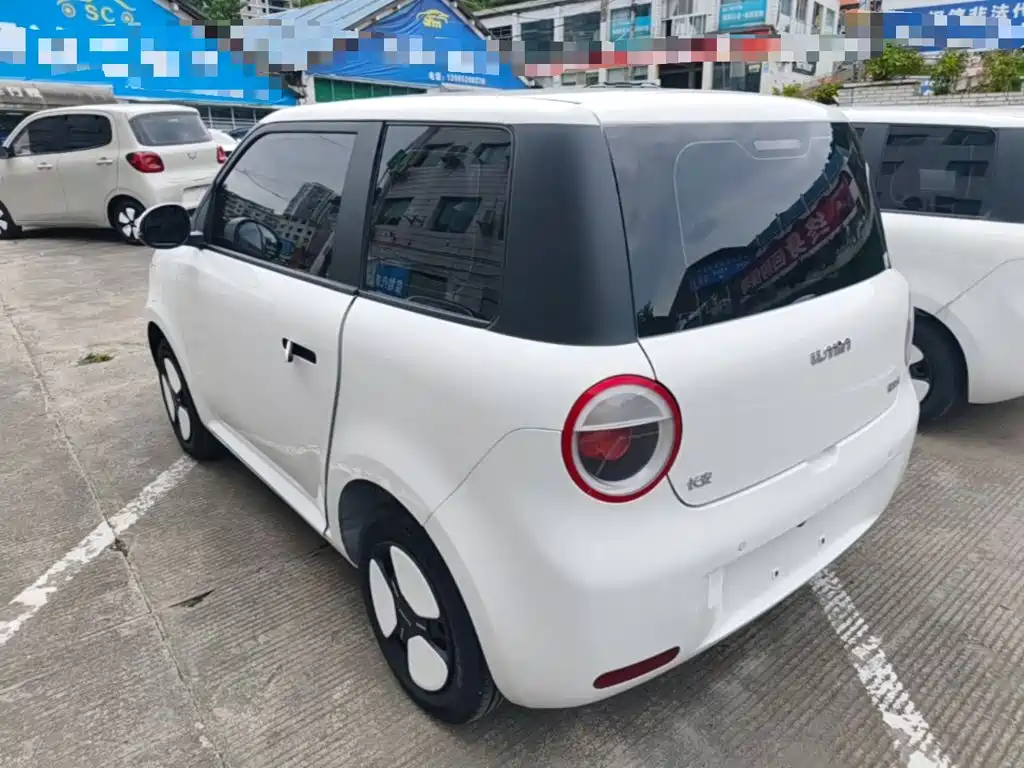 Qiyuan Lumin 2025