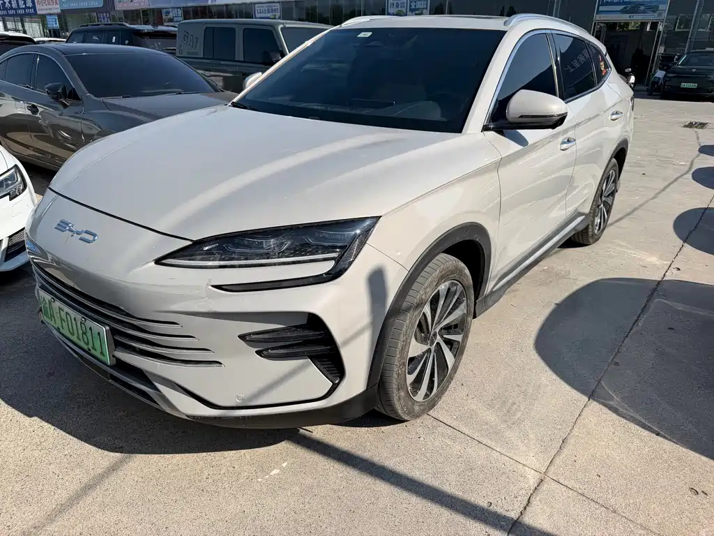 BYD Song PLUS New Energy 2024 — фото 1