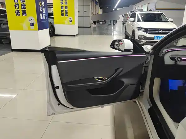 Tesla Model 3 2024