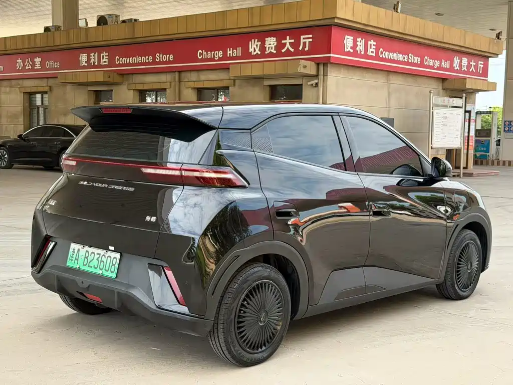 BYD Seagull 2024