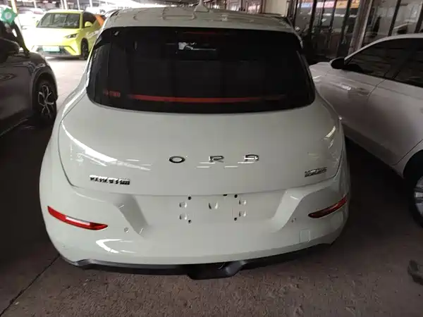 Ora Good Cat 2023
