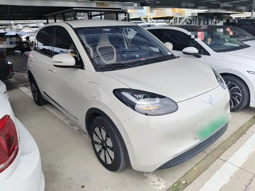Wuling Bingo 2024
