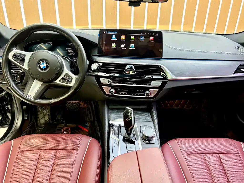 BMW 5 Series New Energy 2021
