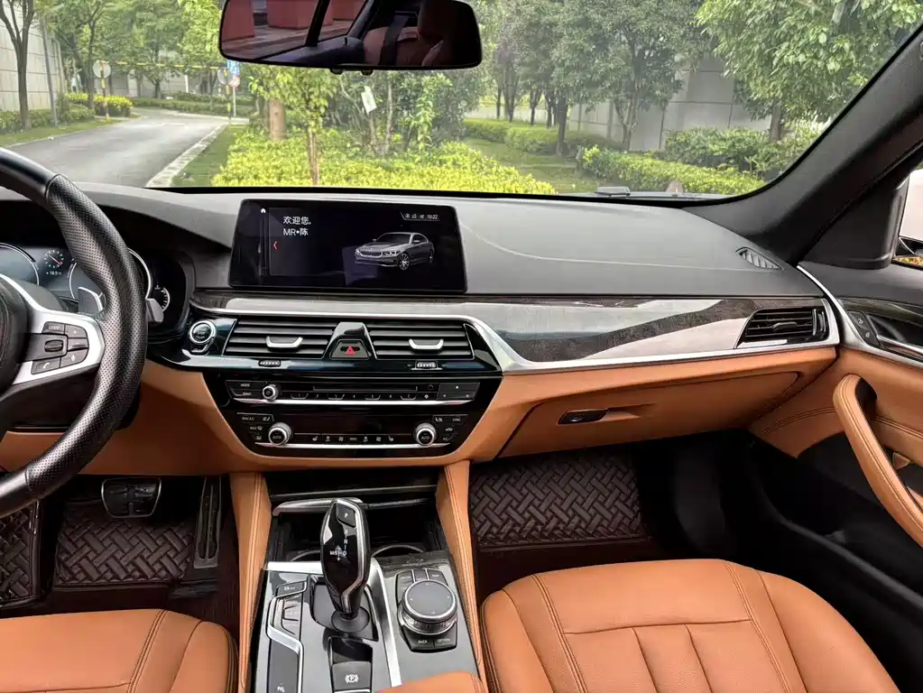 BMW 5 Series 2017 — фото 26