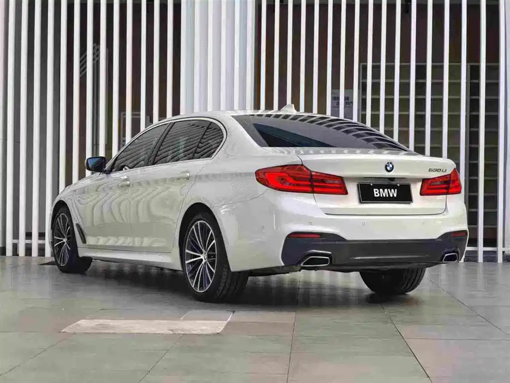 BMW 5 Series 2020 — фото 15