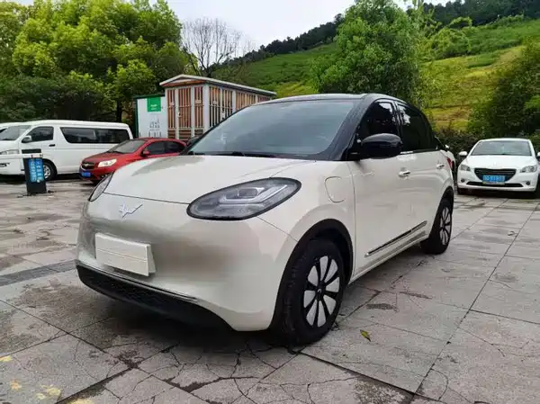 Wuling Bingo 2024