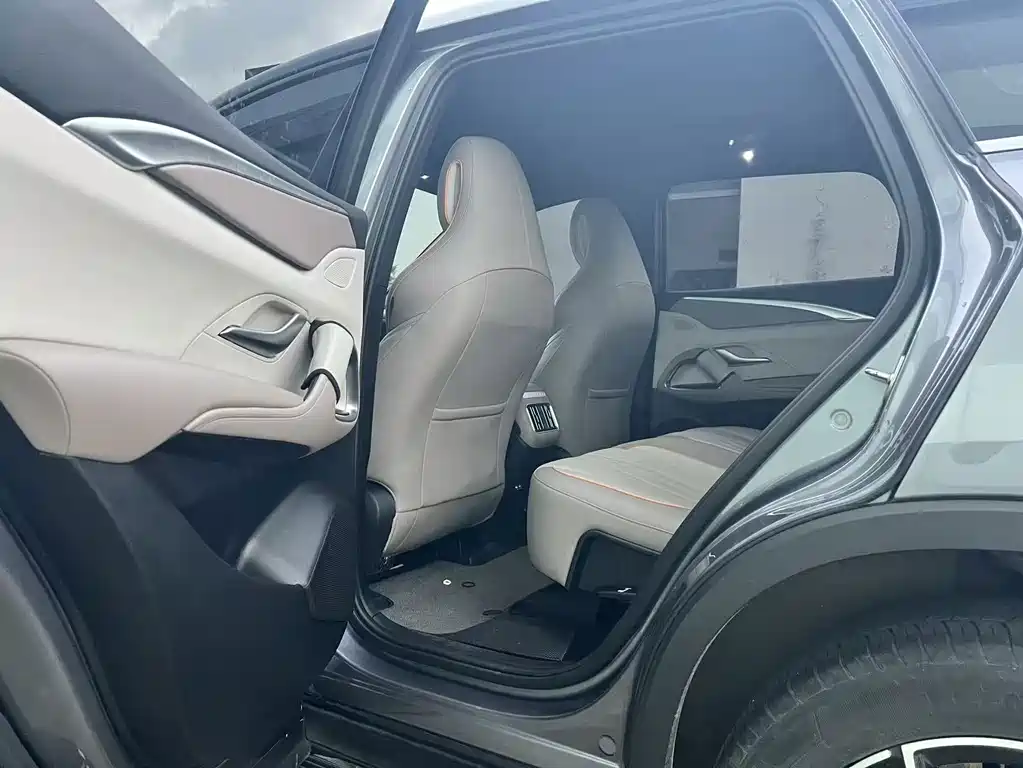 BYD Song Pro New Energy 2024 — фото 8