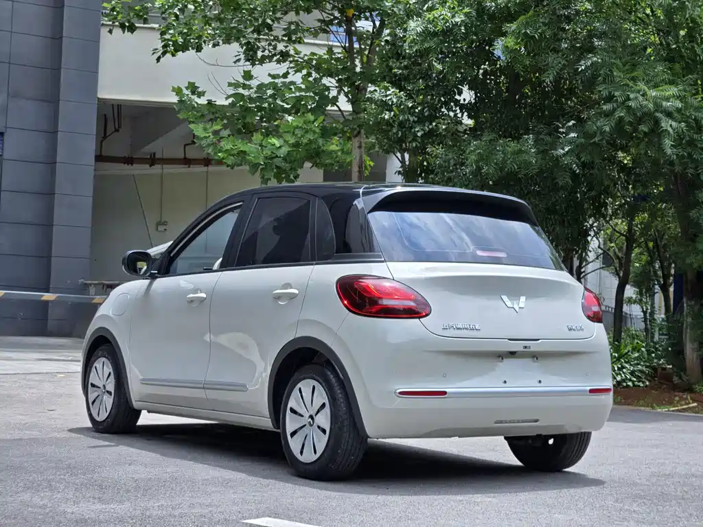 Wuling Bingo 2024