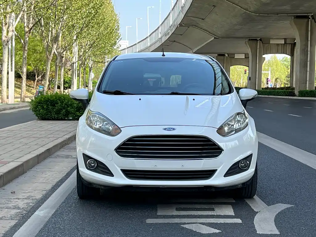 Ford Fiesta 2014 — фото 2