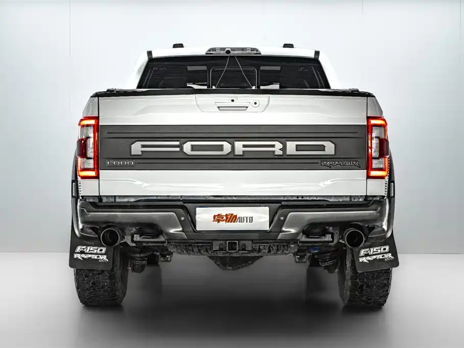 Ford F-150 Raptor 2024 — фото 6