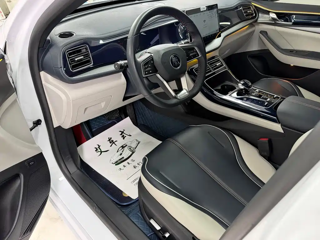 BYD Qin PLUS 2023 — фото 14