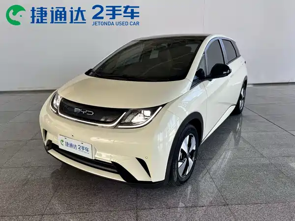 BYD Dolphin 2024