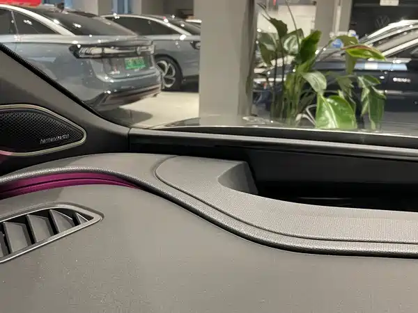 Volkswagen Distinctive 06 2025