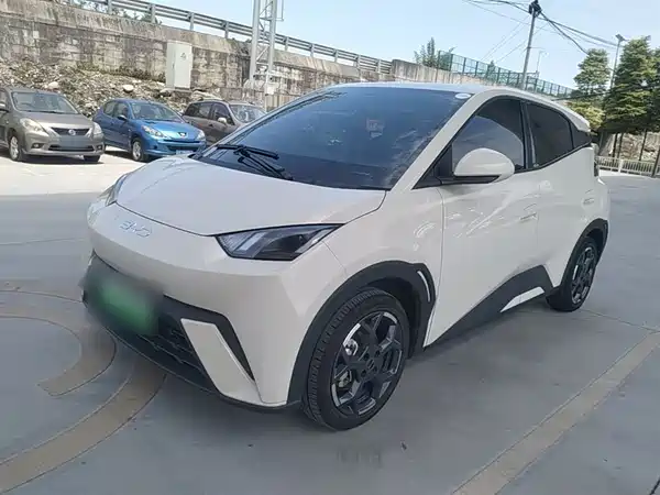 BYD Seagull 2025