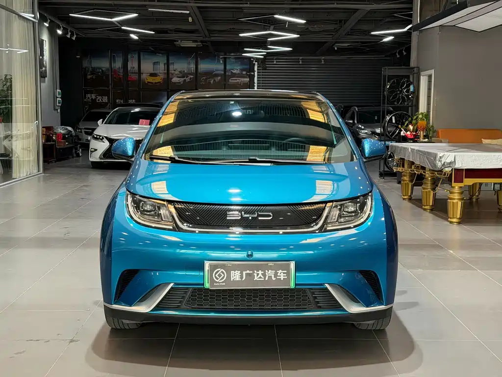 BYD Dolphin 2022