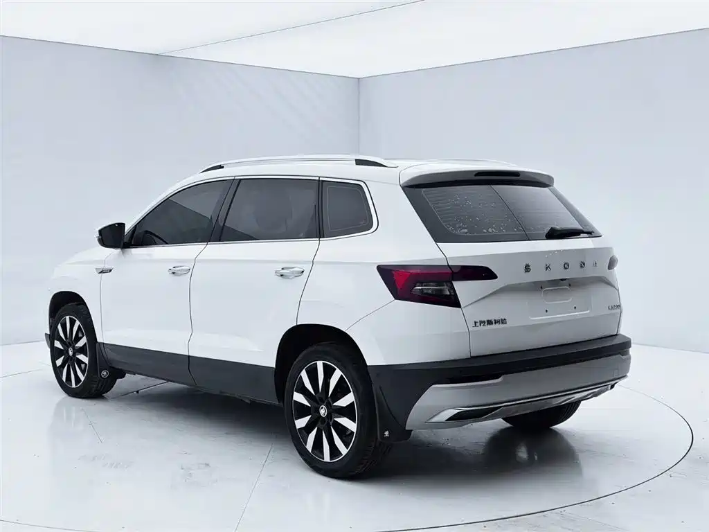 Skoda Karoq 2021 — фото 7