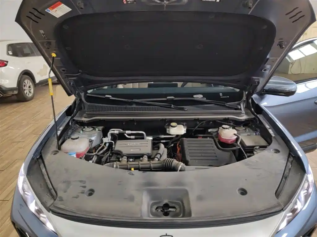 BYD Pro New Energy 2025 — фото 20