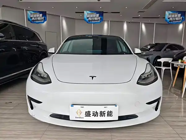 Tesla Model 3 2020