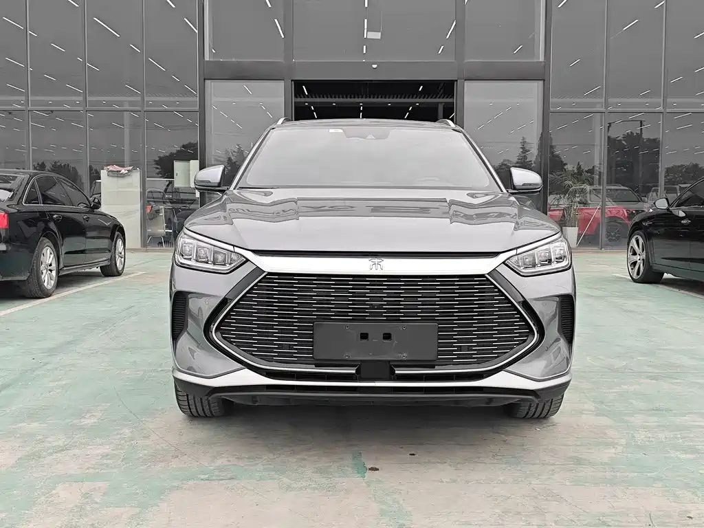 BYD PLUS New Energy 2023 — фото 2
