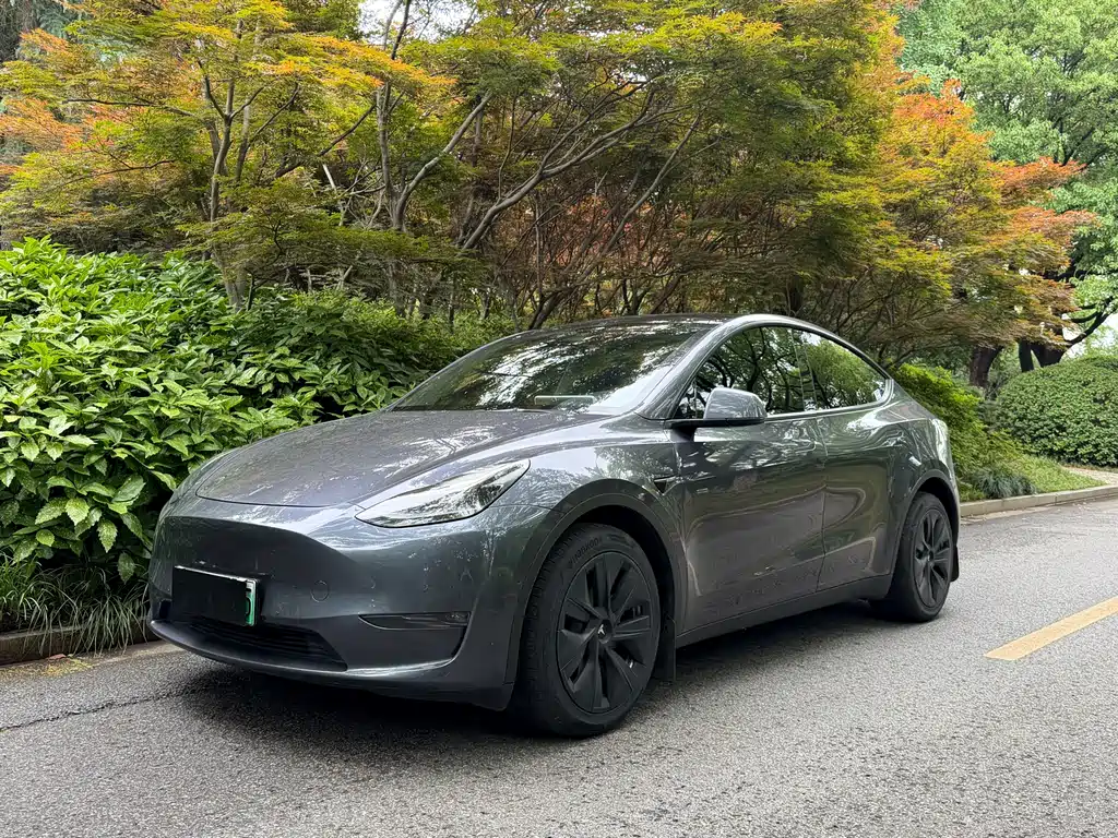 Tesla Model Y 2021 — фото 1