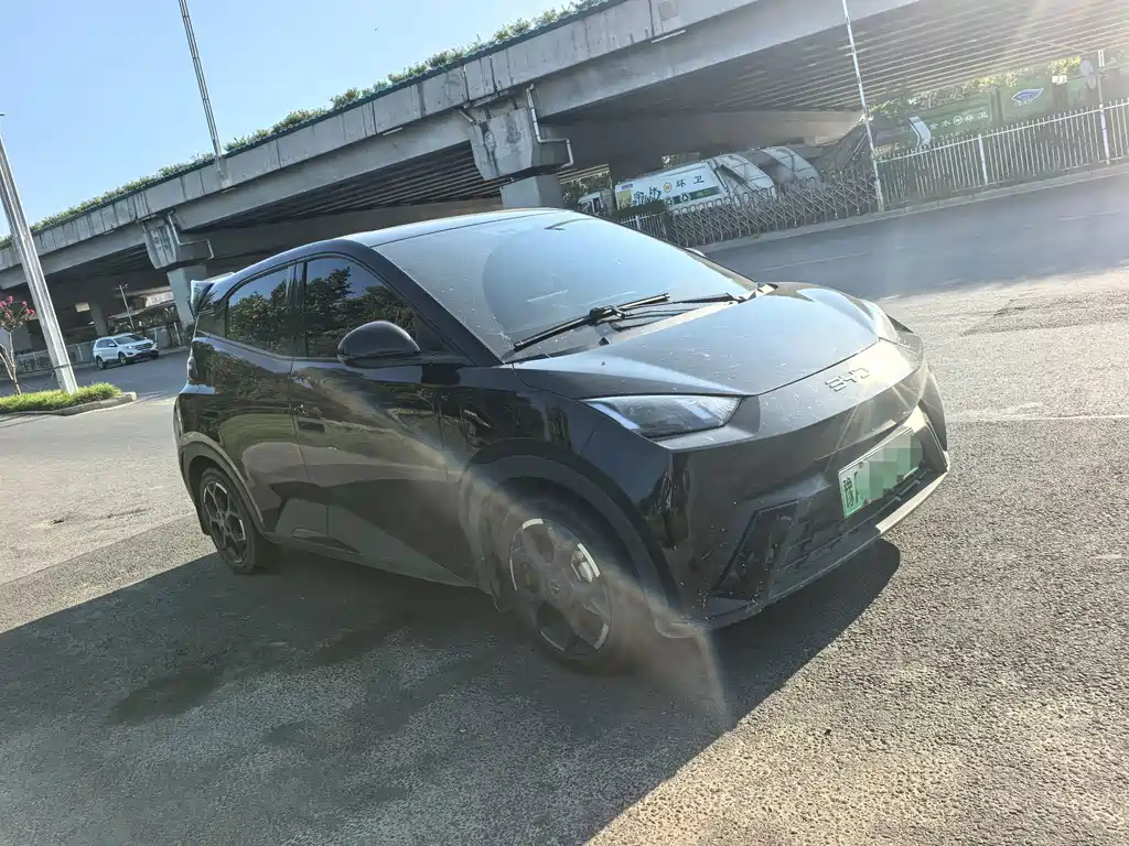 BYD Seagull 2024