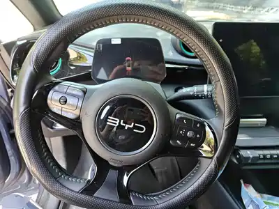 BYD Dolphin 2025