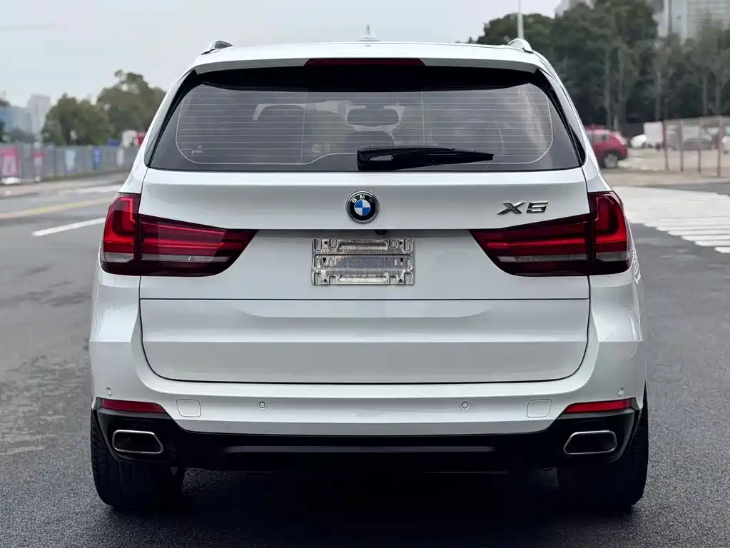 BMW X5 2017 — фото 5