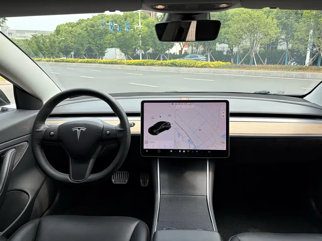 Tesla Model 3 2019