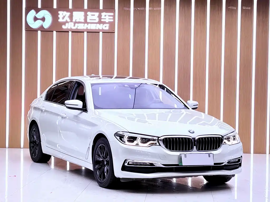 BMW 5 Series New Energy 2018