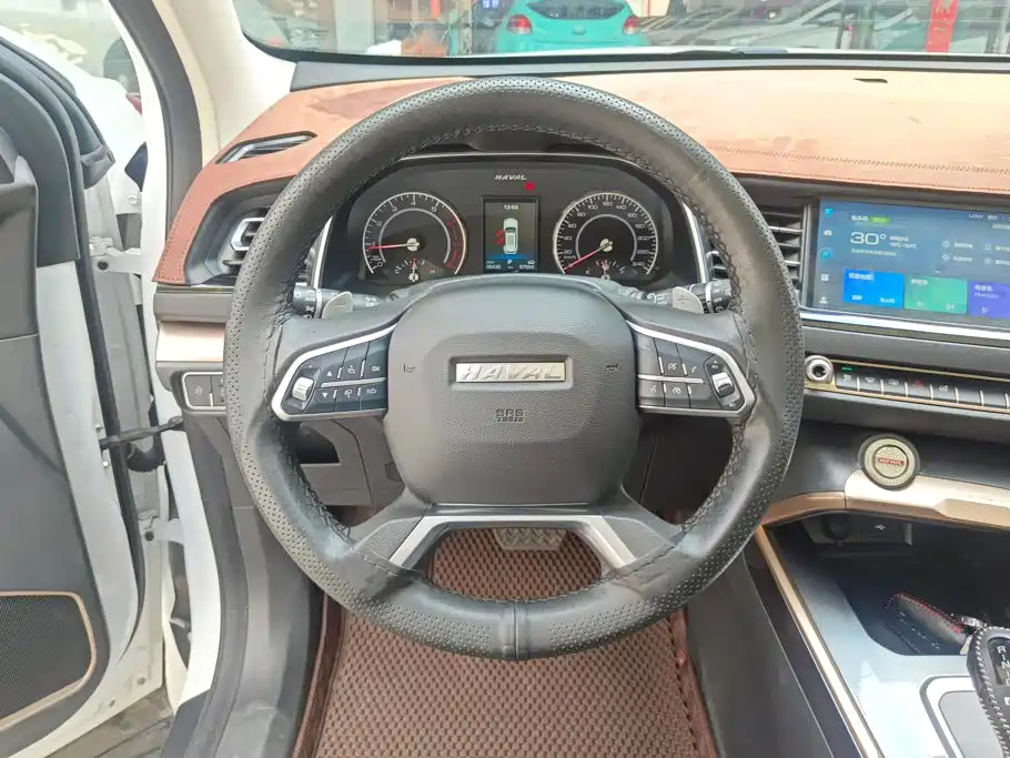 Haval H6 2021 — фото 15