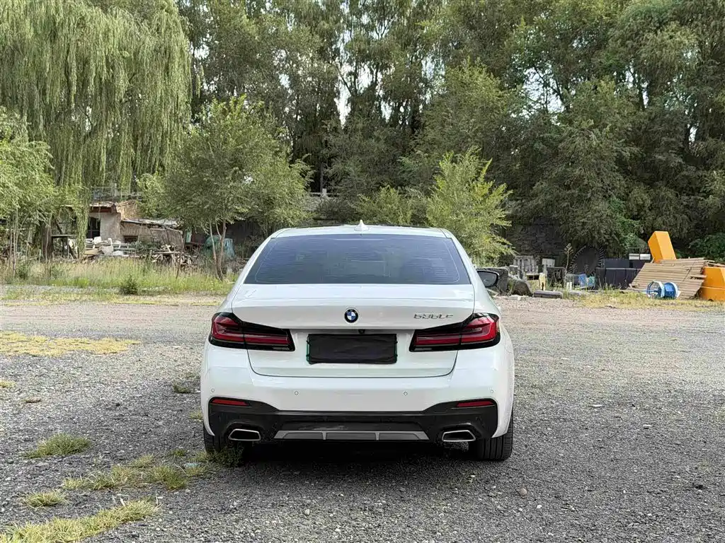 BMW 5 Series New Energy 2020