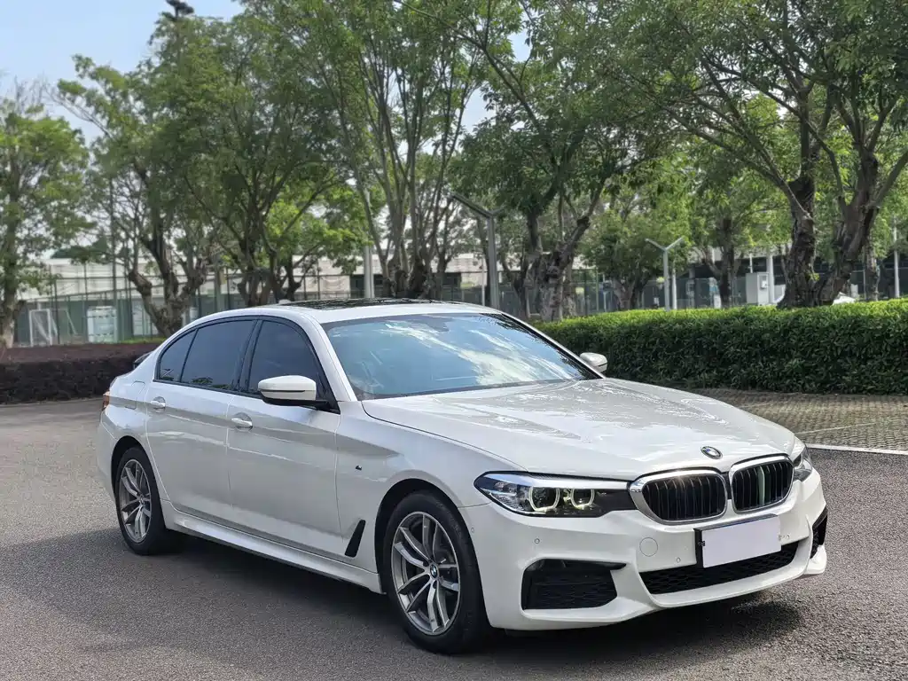BMW 5 Series 2019 — фото 3