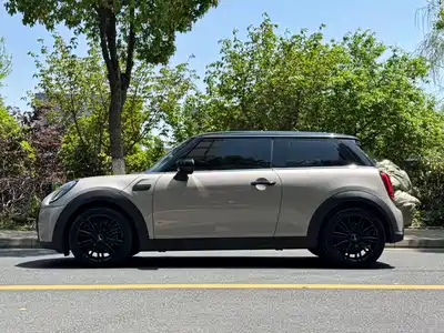 MINI MINI 2021