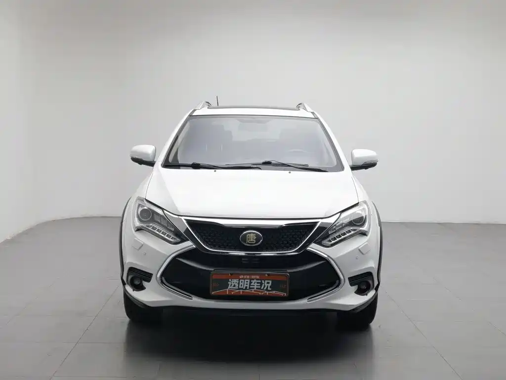 BYD Tang New Energy 2016 — фото 3