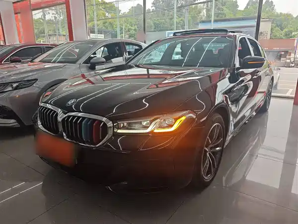BMW 5 Series New Energy 2021