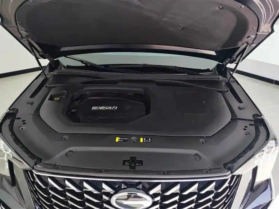 GAC Motor Trumpchi GS8 2023 — фото 10