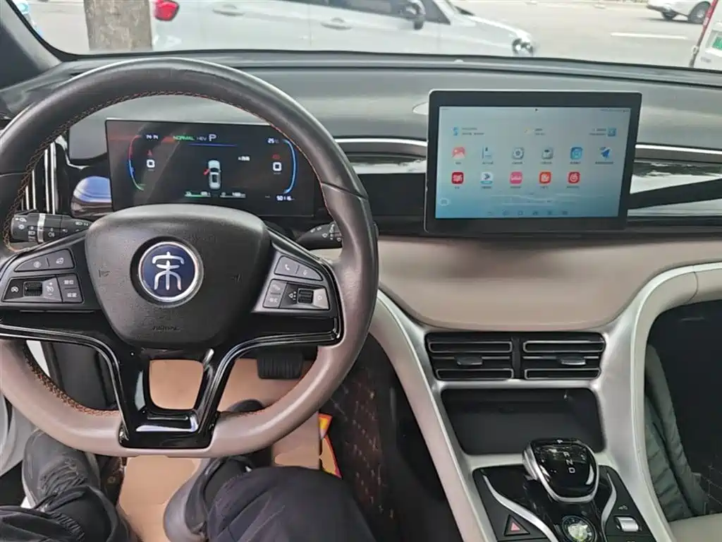 BYD Pro New Energy 2024 — фото 10