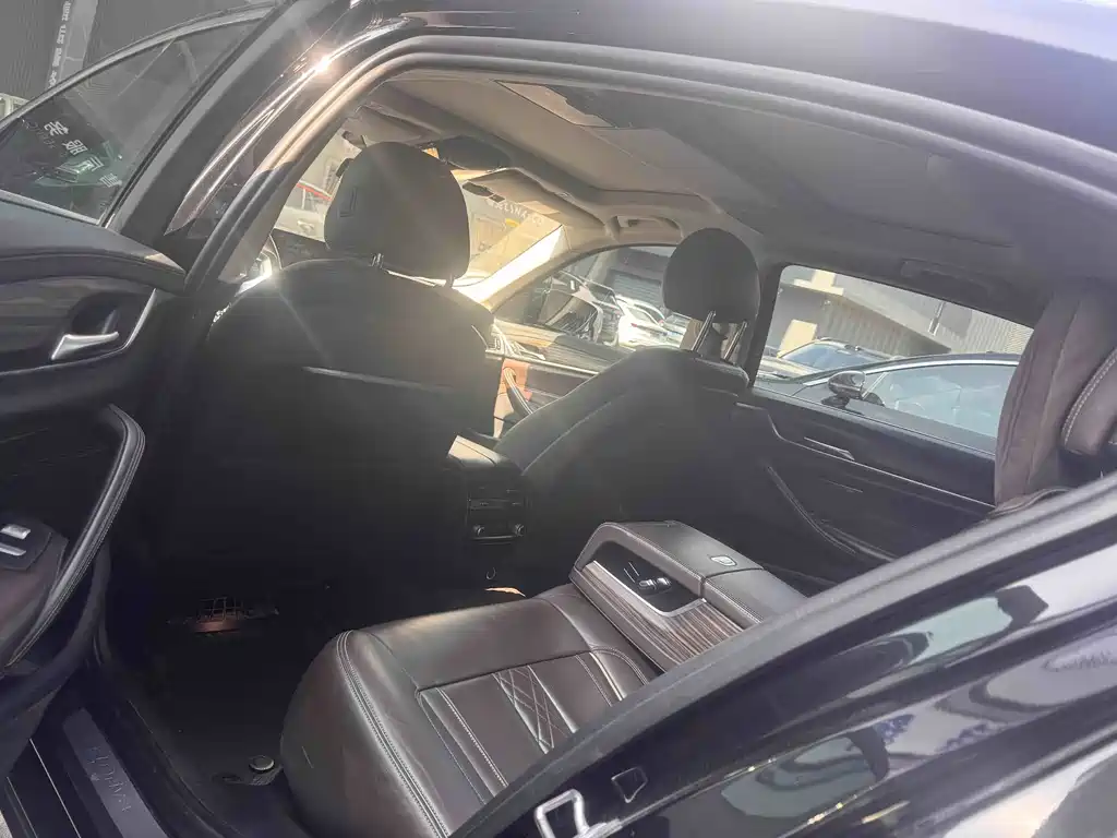 BMW 5 Series New Energy 2019