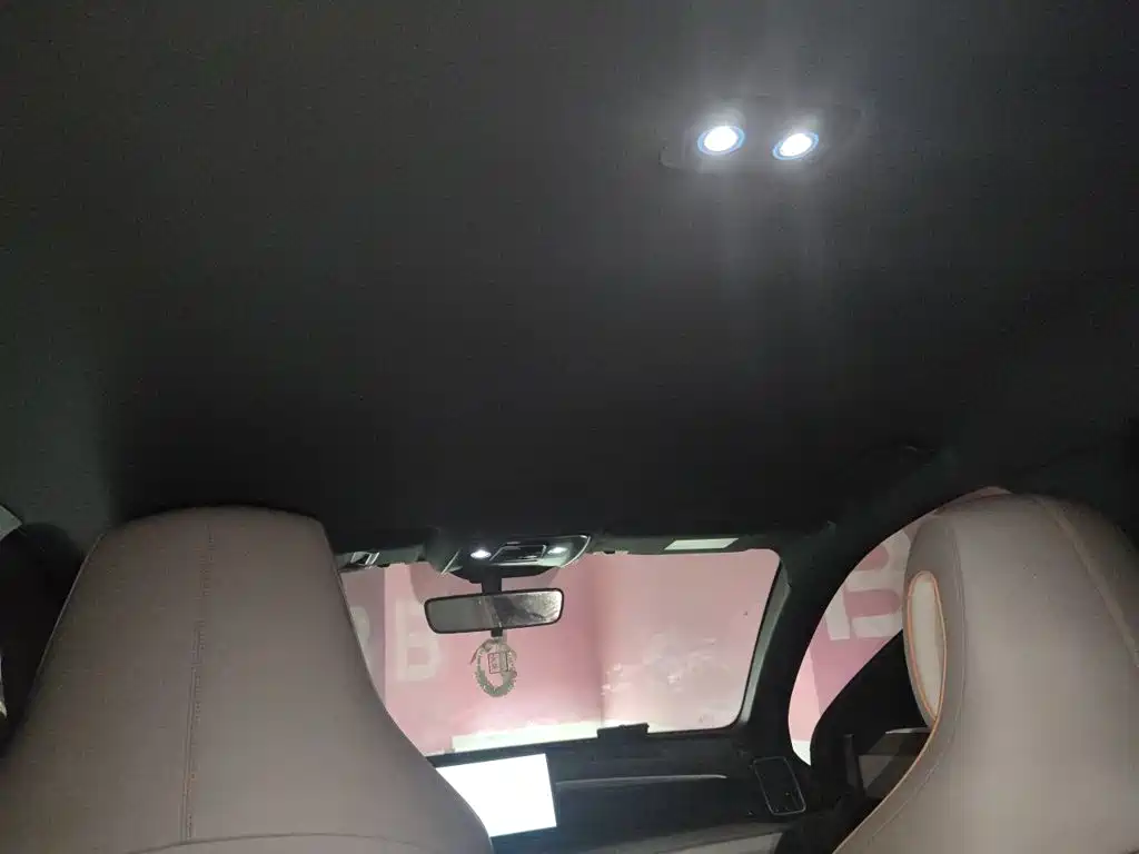 BYD Song Pro New Energy 2025 — фото 9