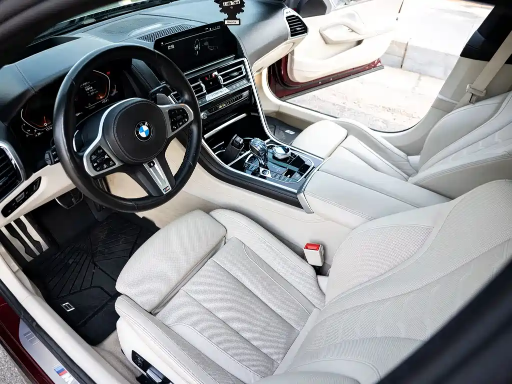 BMW 8 Series 2020 — фото 10