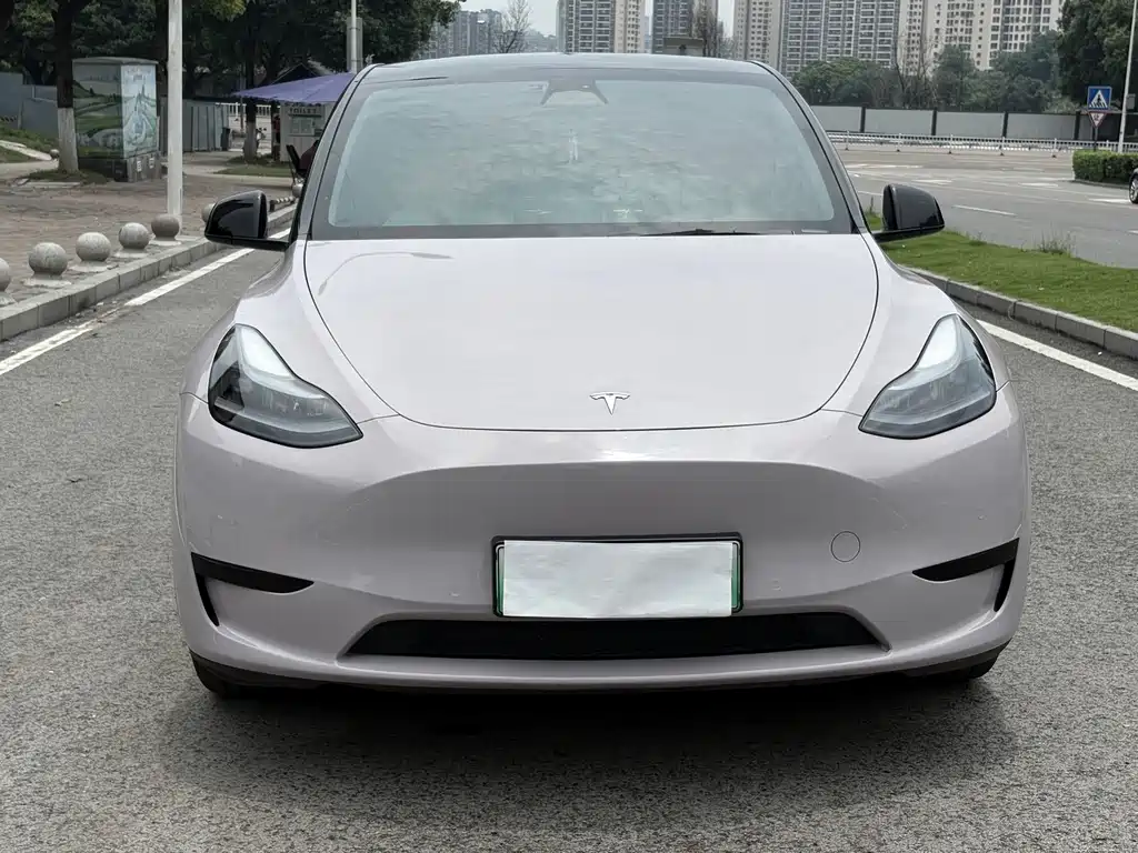 Tesla Model Y 2023 — фото 2