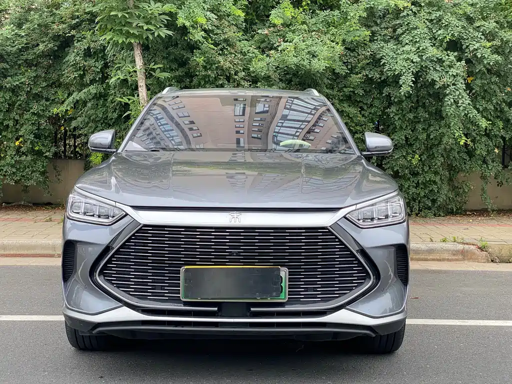 BYD PLUS New Energy 2022 — фото 2