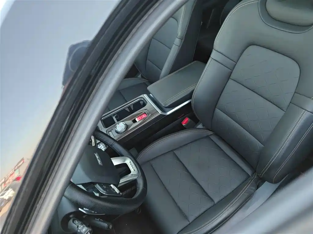 Haval Big Dog 2023 — фото 12