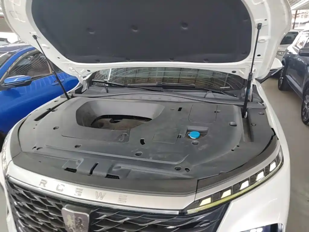 Roewe RX5 MAX 2023 — фото 20