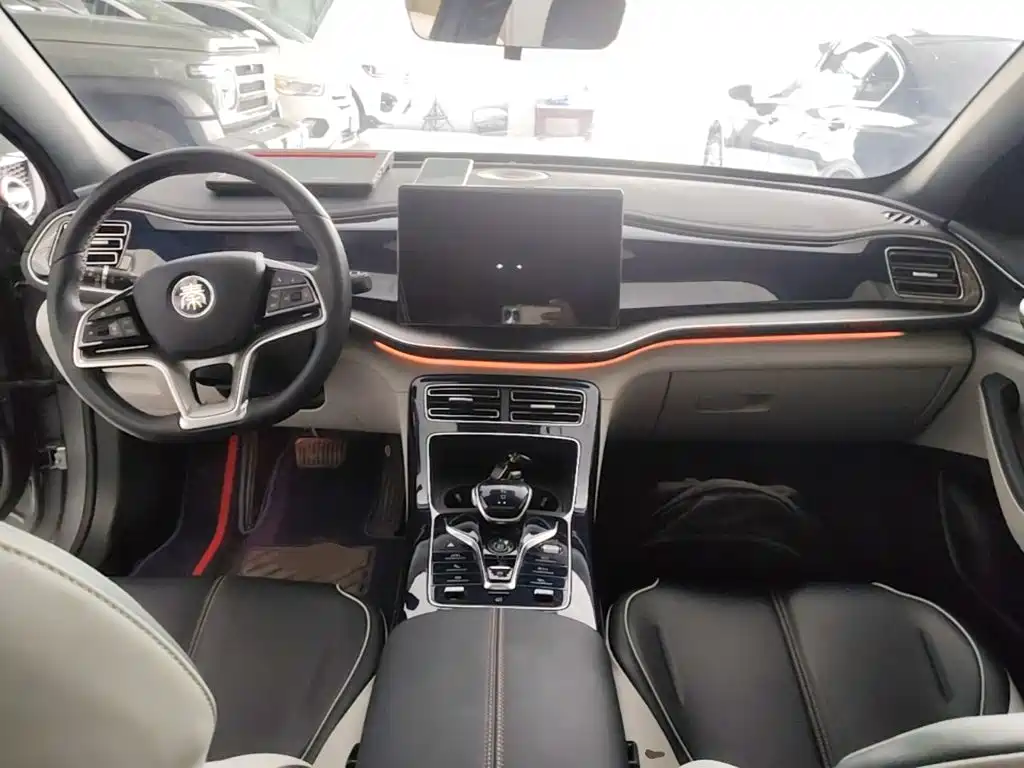 BYD Qin PLUS 2022 — фото 10