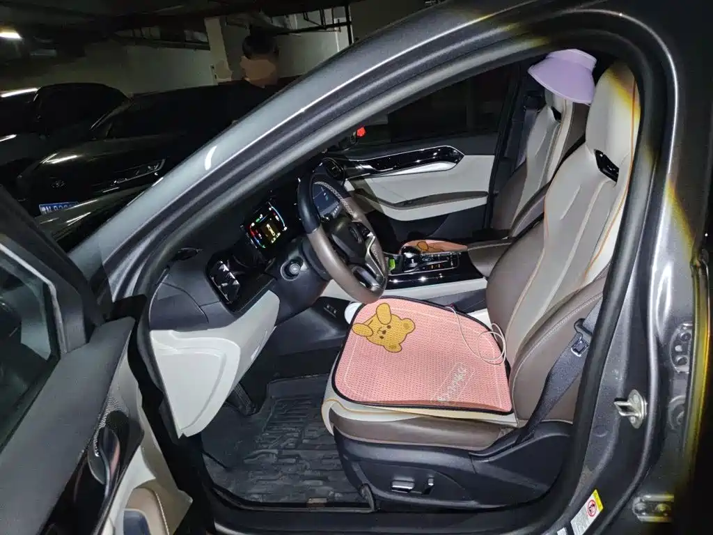 BYD Qin PLUS 2024 — фото 11