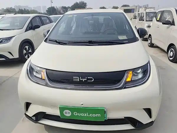 BYD Dolphin 2026