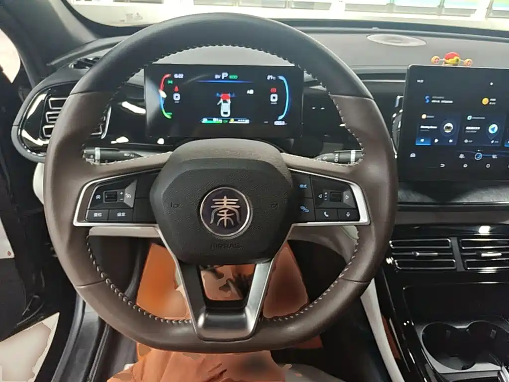 BYD Qin PLUS 2024 — фото 11